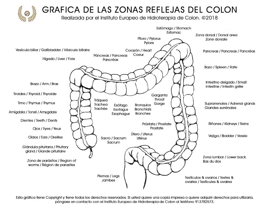 Zonas reflejas del colon